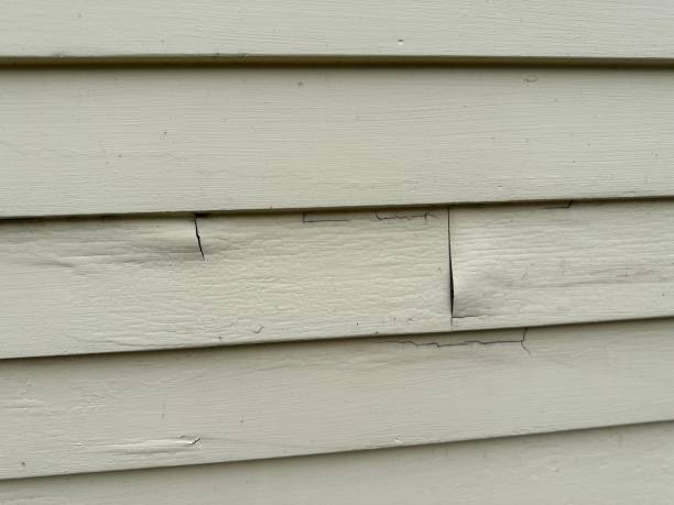 Trusted Reinholds, PA Siding Experts